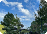 研修会「参加者さまの声」アップしました！